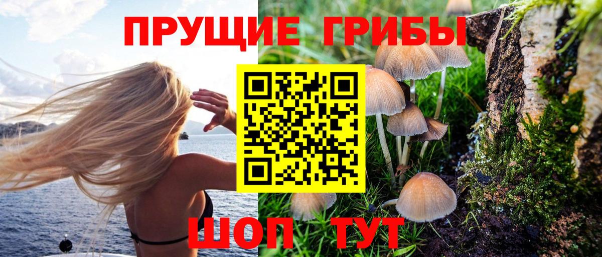 Псилоцибиновые грибы GOLDEN TEACHER Аксай